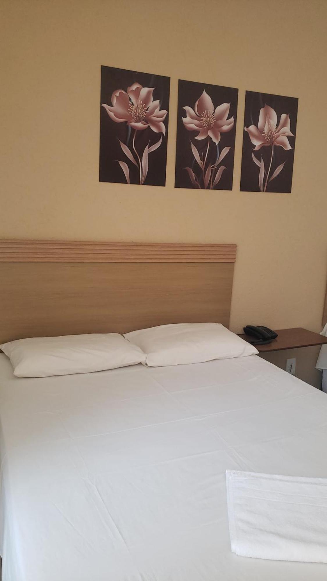 Hotel Flamboia Araraquara Kültér fotó