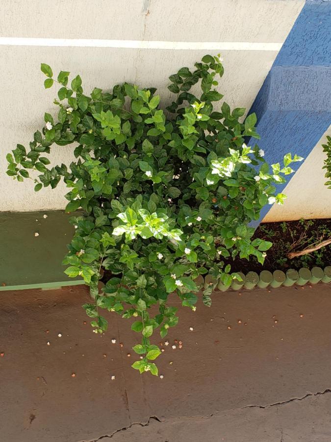 Hotel Flamboia Araraquara Kültér fotó