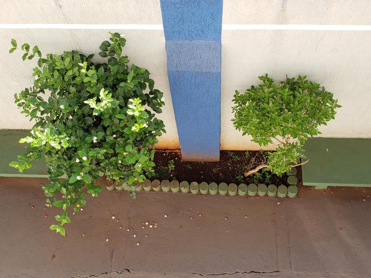 Hotel Flamboia Araraquara Kültér fotó